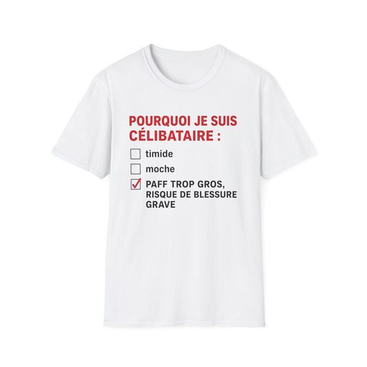 Pourquoi Je Suis Célibataire :